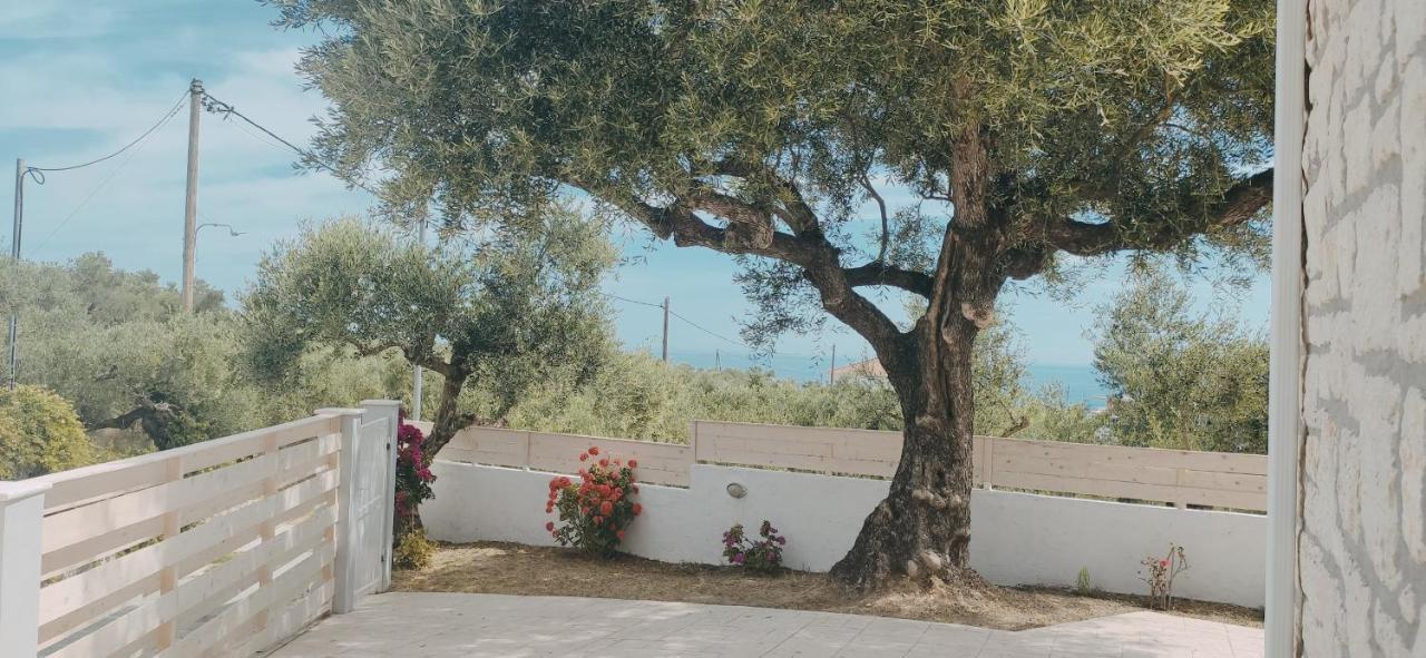 Villa Zante Avia Πλάνος Εξωτερικό φωτογραφία